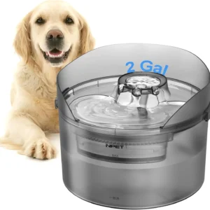 Dog Water Fountain