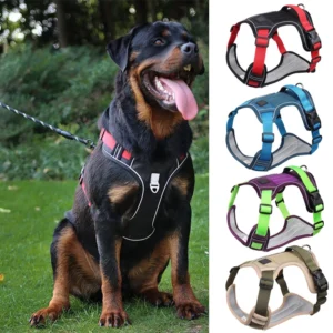 Dog Harness Reflective