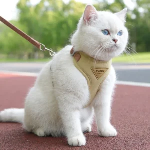 Cozy Soft Cat Harness and Leash